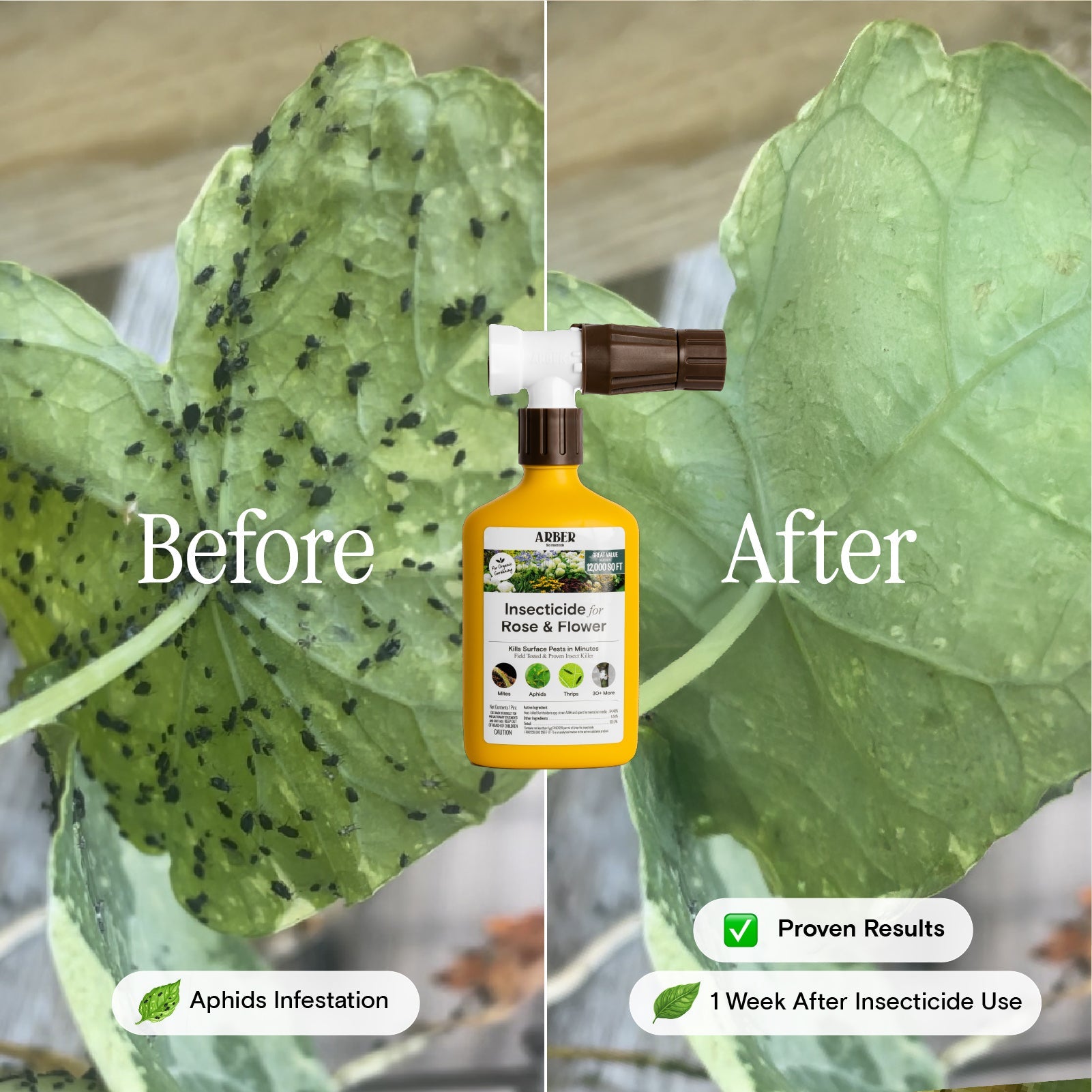 Organic Insecticide for Rose & Flower - Blessings Grow Meadows