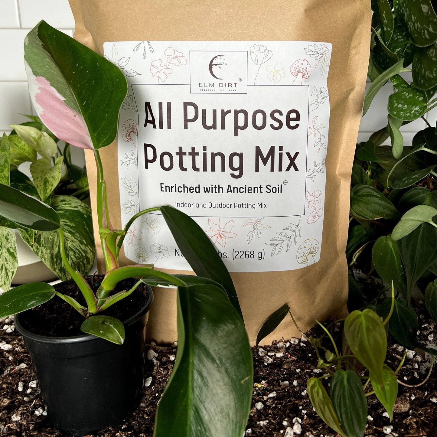 All-Purpose Soil Mix by Elm Dirt - Blessings Grow Meadows -