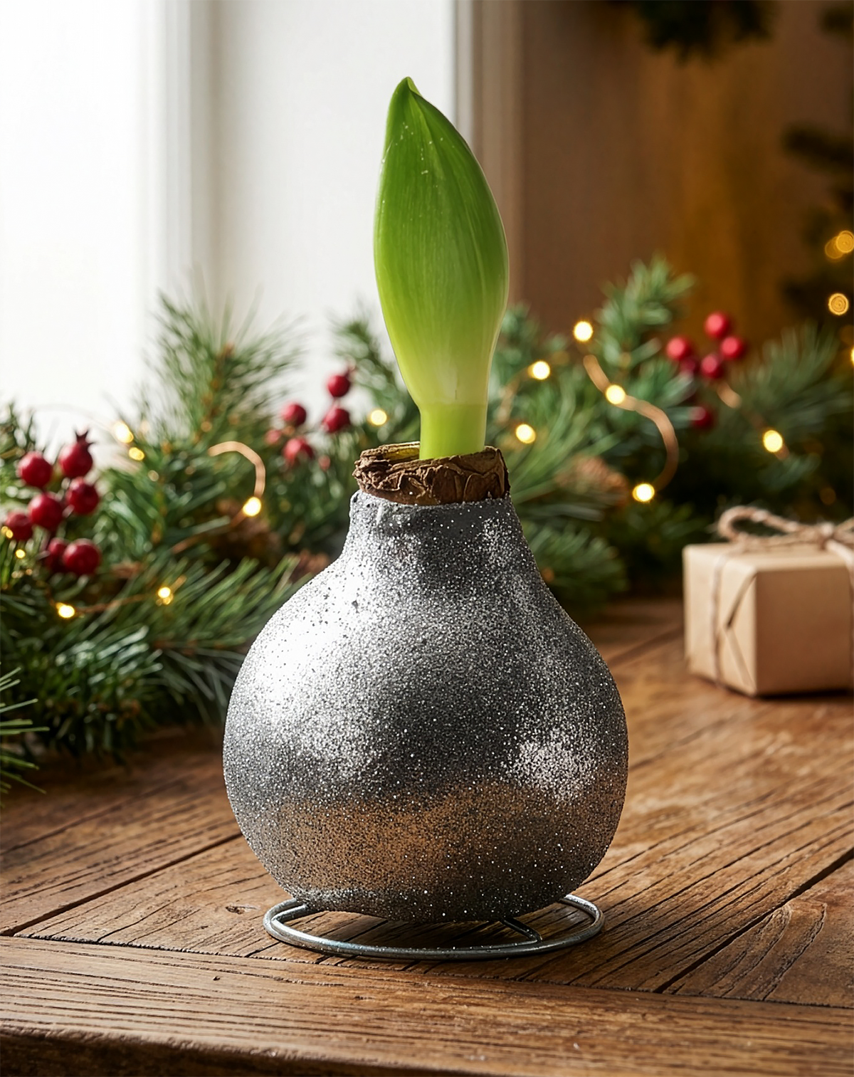 Silver Glitter Waxed Amaryllis with White Flower