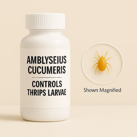 Amblyseius cucumeris Treatment Bottles - Blessings Grow Meadows -