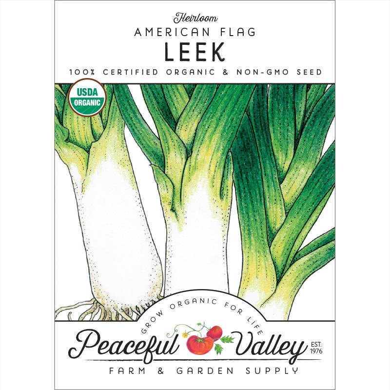 American Flag Leek Seeds (Organic) - Blessings Grow Meadows