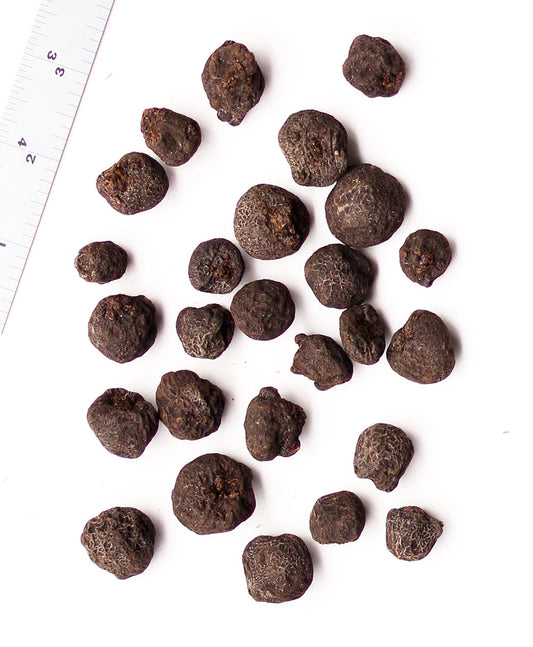 Assorted BloomingBulb Anemone blanda bulbs, 25 bulbs in a cluster ready for planting, vibrant flower buds visible.