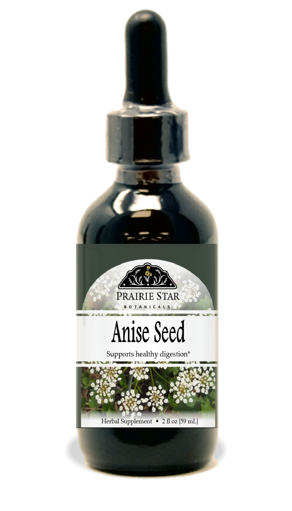 Single Prairie Star Botanicals anise seed image showing small, brown, star-shaped spice seeds on a plain background.
