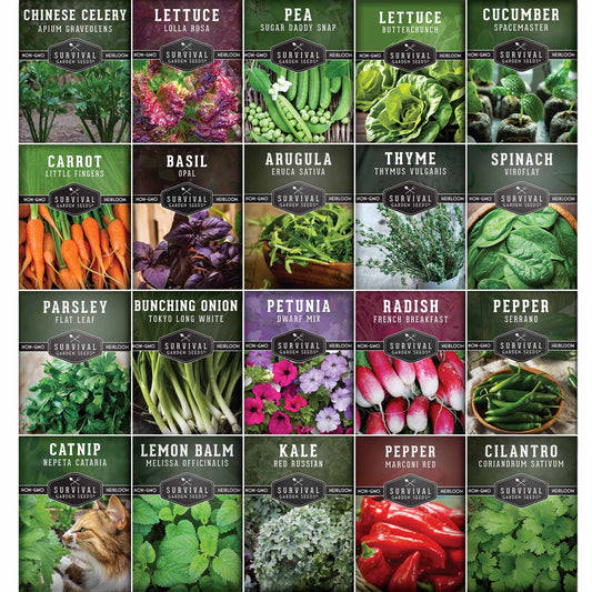 20 Variety Apartment Kit Seed Vault – Non-GMO Heirloom Seeds for Hydroponic & Indoor Small-Space Gardening - SurvivalGardenSeeds ~ Blessings Grow Meadows
