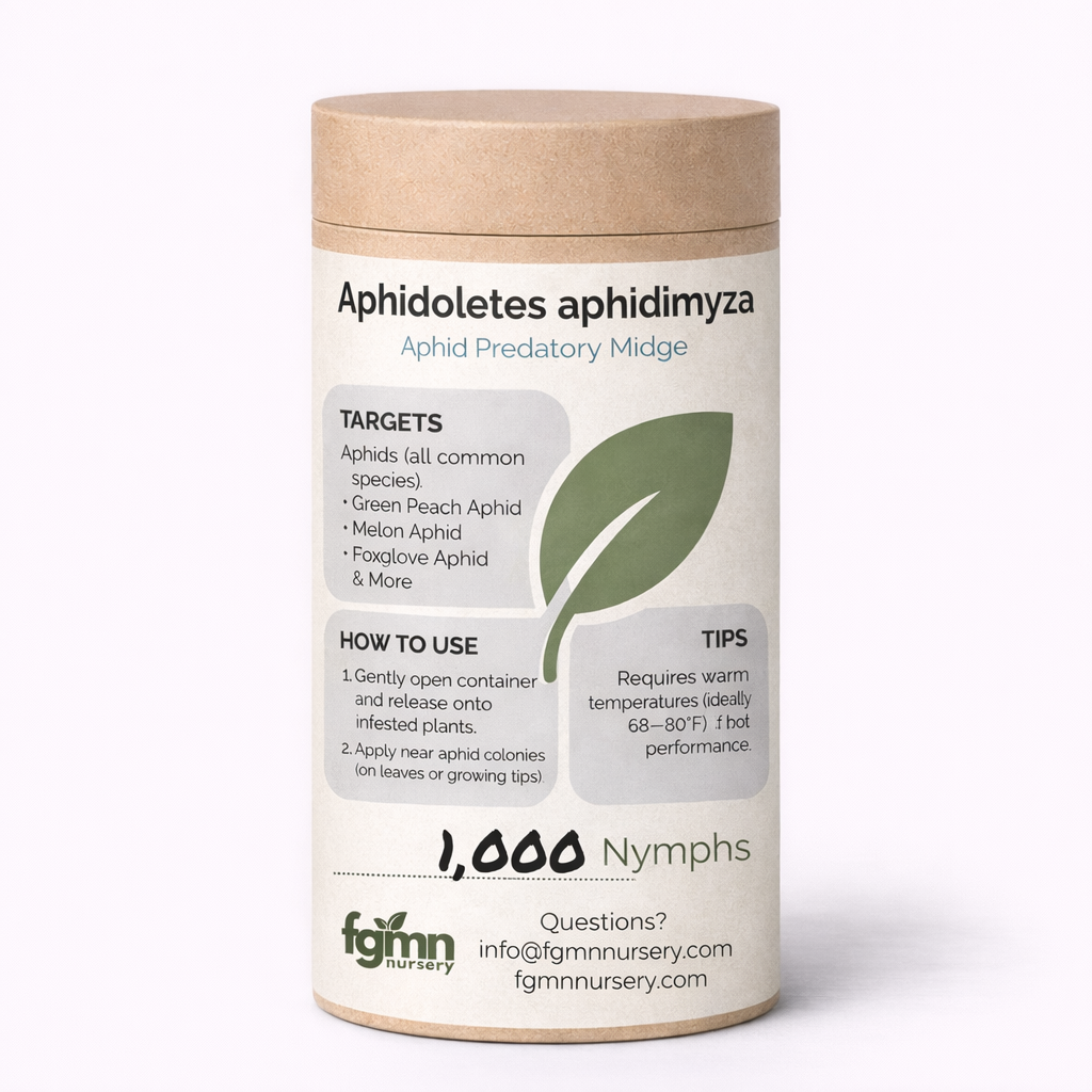 Live Aphidoletes aphidimyza nymphs, natural aphid treatment from FGMN Nursery, used for pest control in gardens.