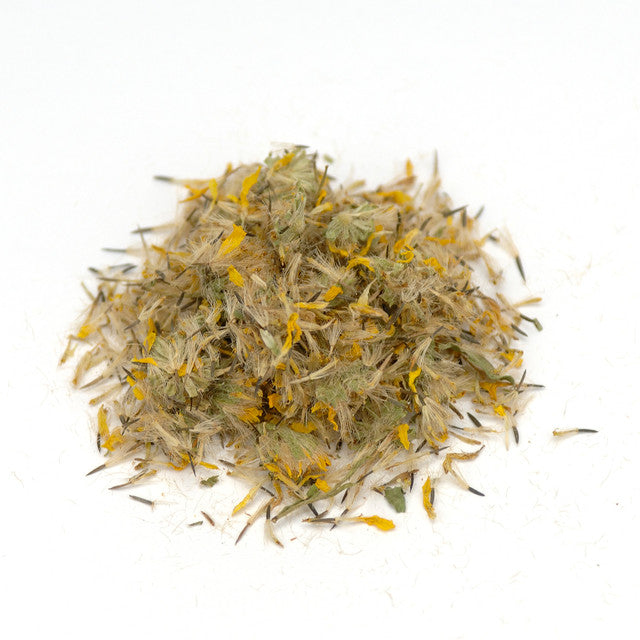 Arnica (Arnica montana) PRICE IS PER OZ - Blessings Grow Meadows