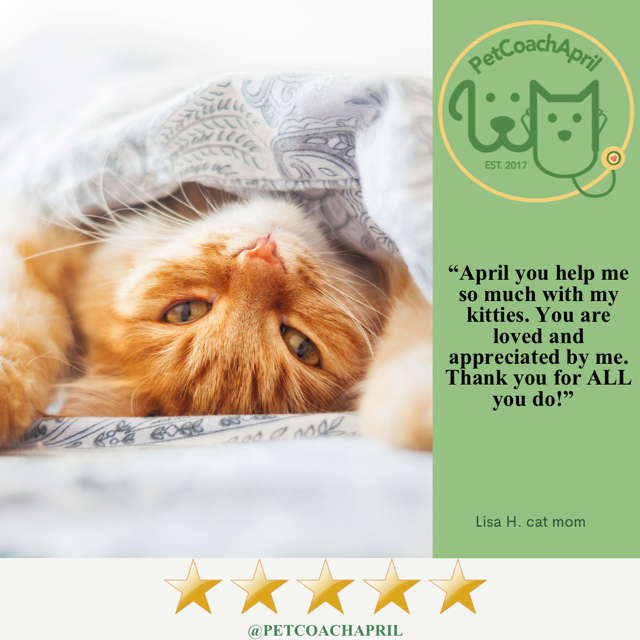 PET HEALTH & BEHAVIOR CONSULTS - Blessings Grow Meadows