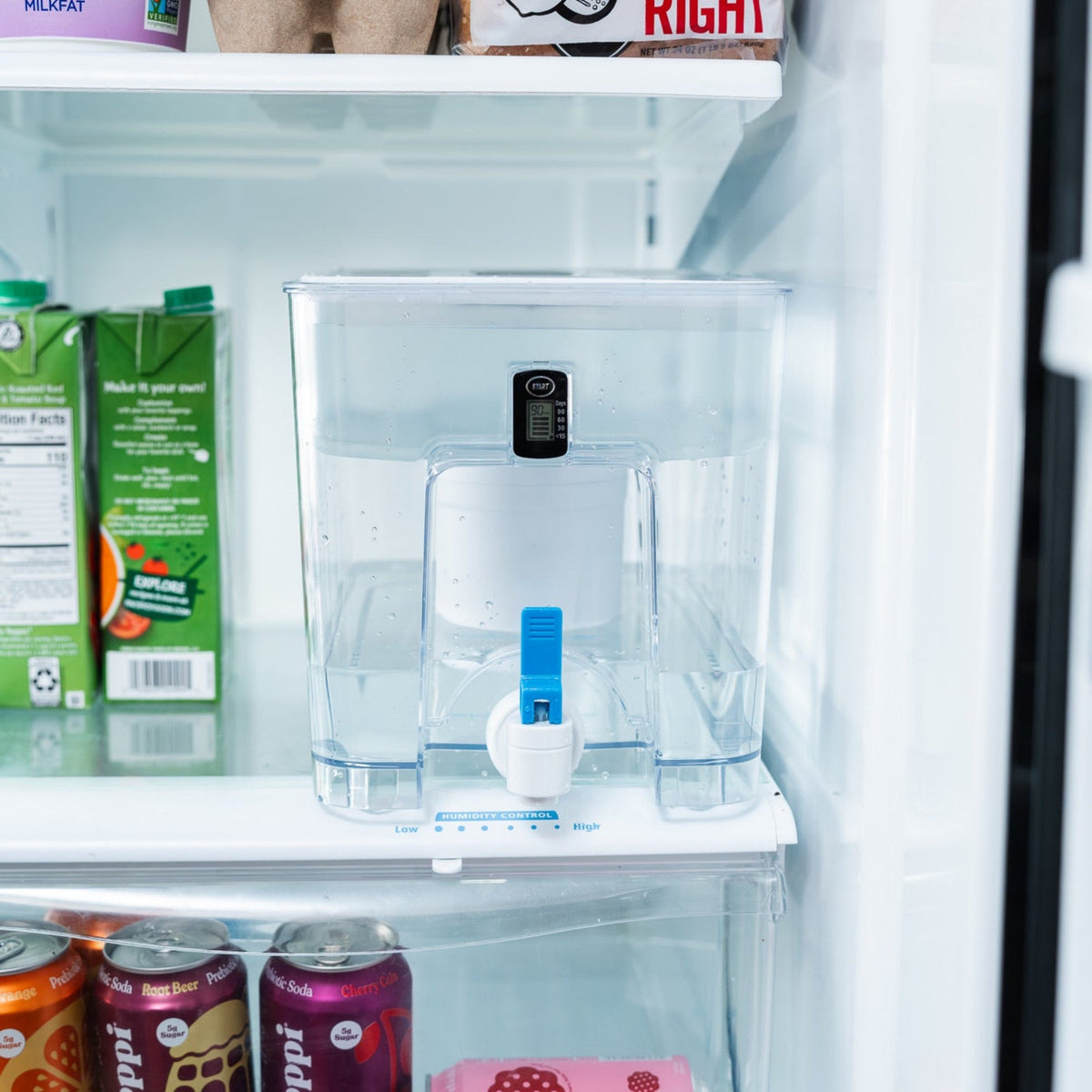 Pure XP Dispenser | Reduces Fluoride & PFAS