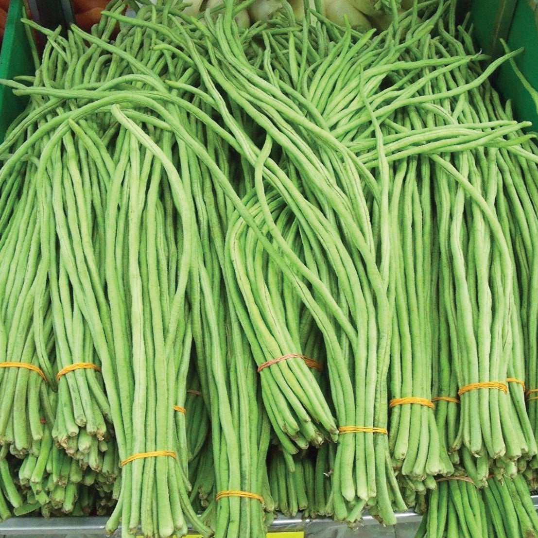 Oriental Yard Long Bean (Pole) - Blessings Grow Meadows