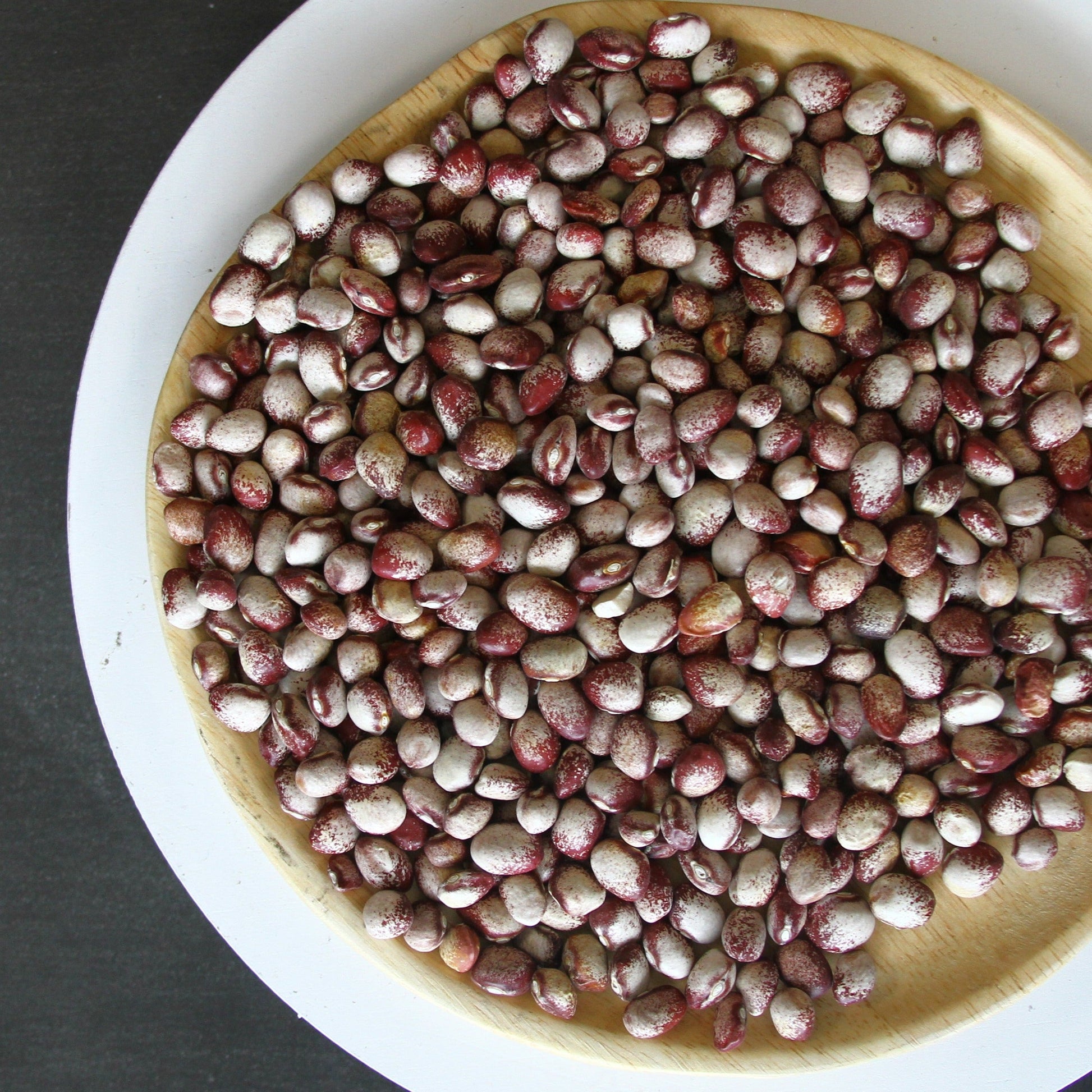 Mayflower Bean (Pole) - Blessings Grow Meadows