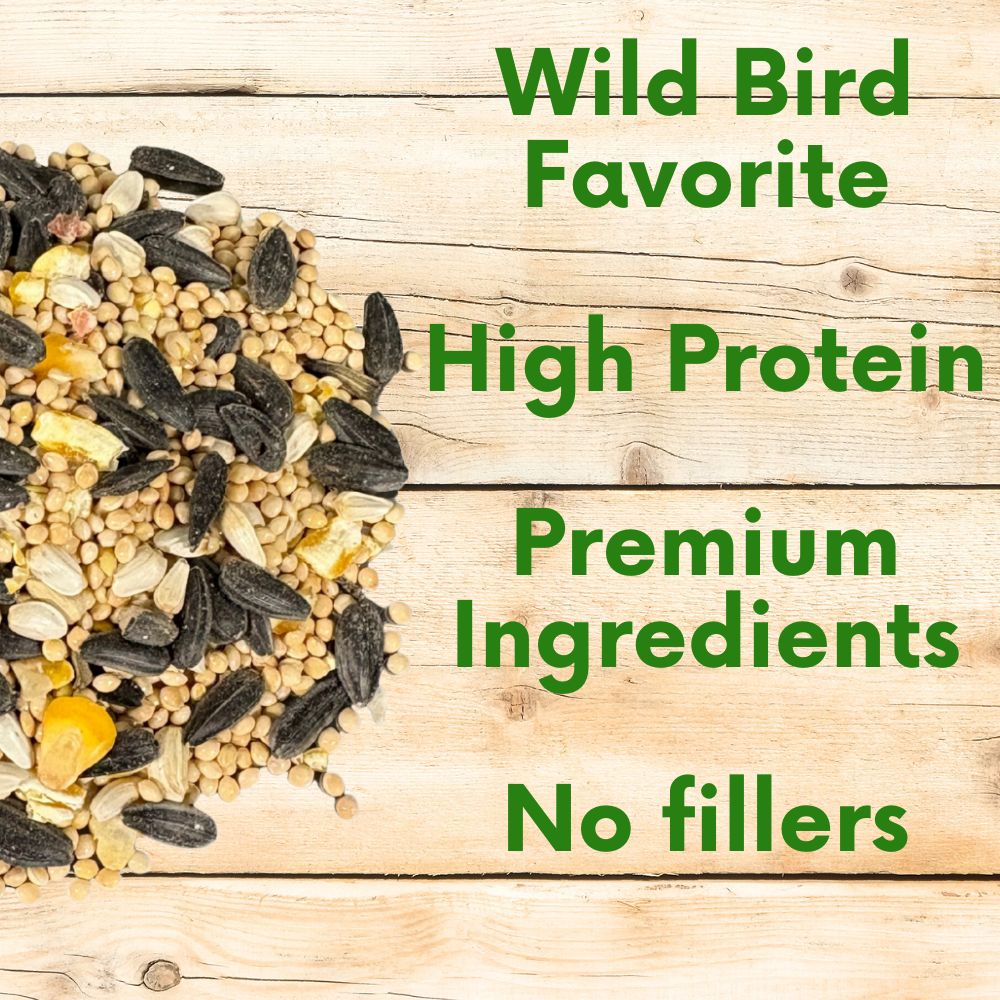 Wild bird seed blend by Flawn Seed Kits, showing a colorful mix of seeds in a backyard bird feeder setup.