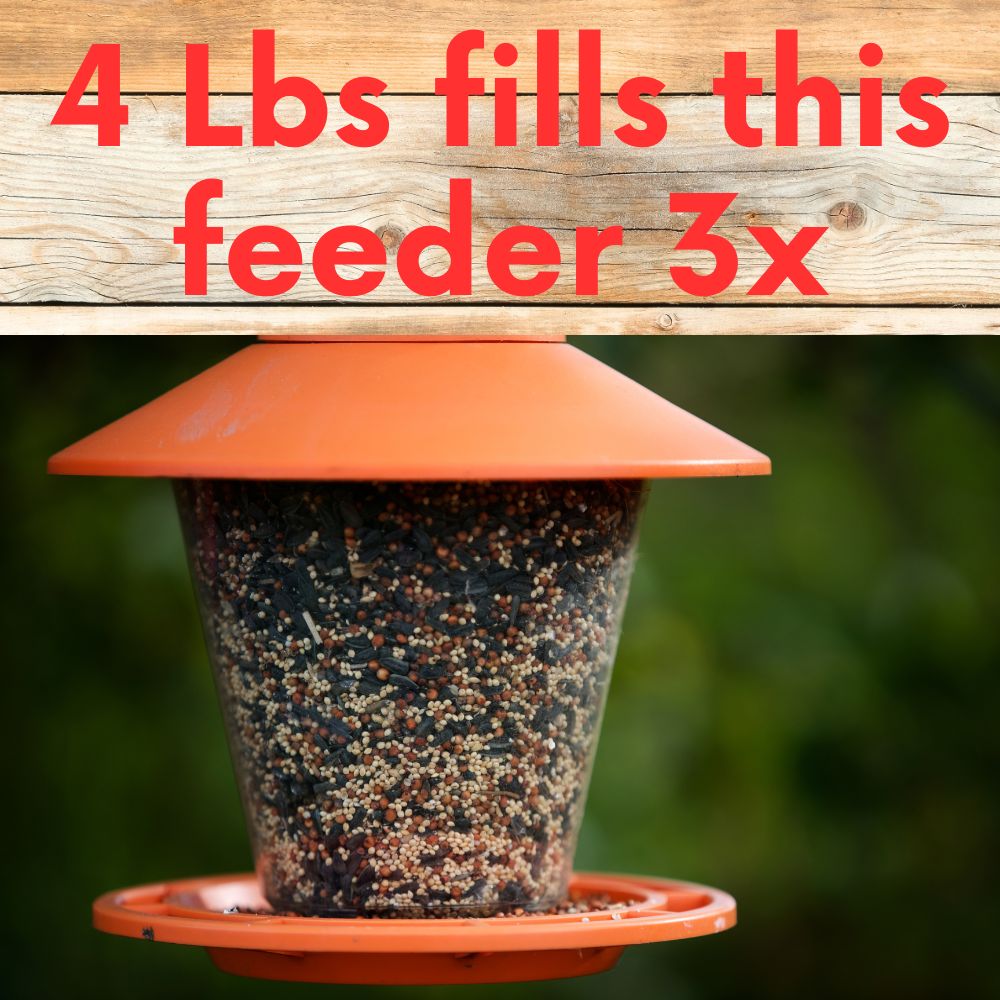 Black oil sunflower wild bird seed in a bag, ideal for backyard bird feeders, from Flawn Seed Kits.