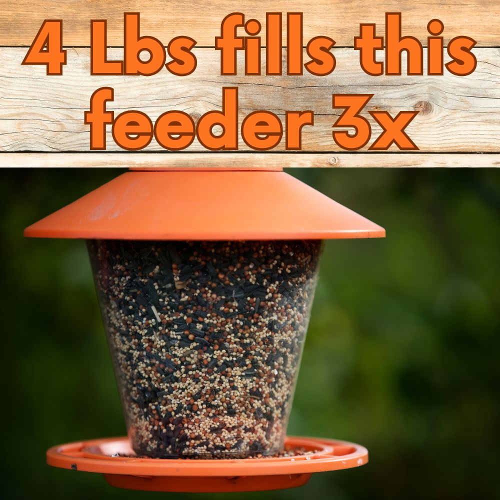 Bird feeder filled with Songbird Symphony Wild Bird Seed Blend from Flawn Seed Kits in a backyard setting
