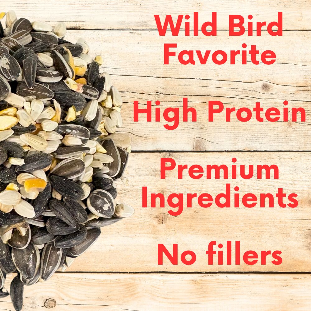 Wild bird seed blend by Flawn Seed Kits featuring assorted grains and seeds in a backyard setting for attracting songbirds.