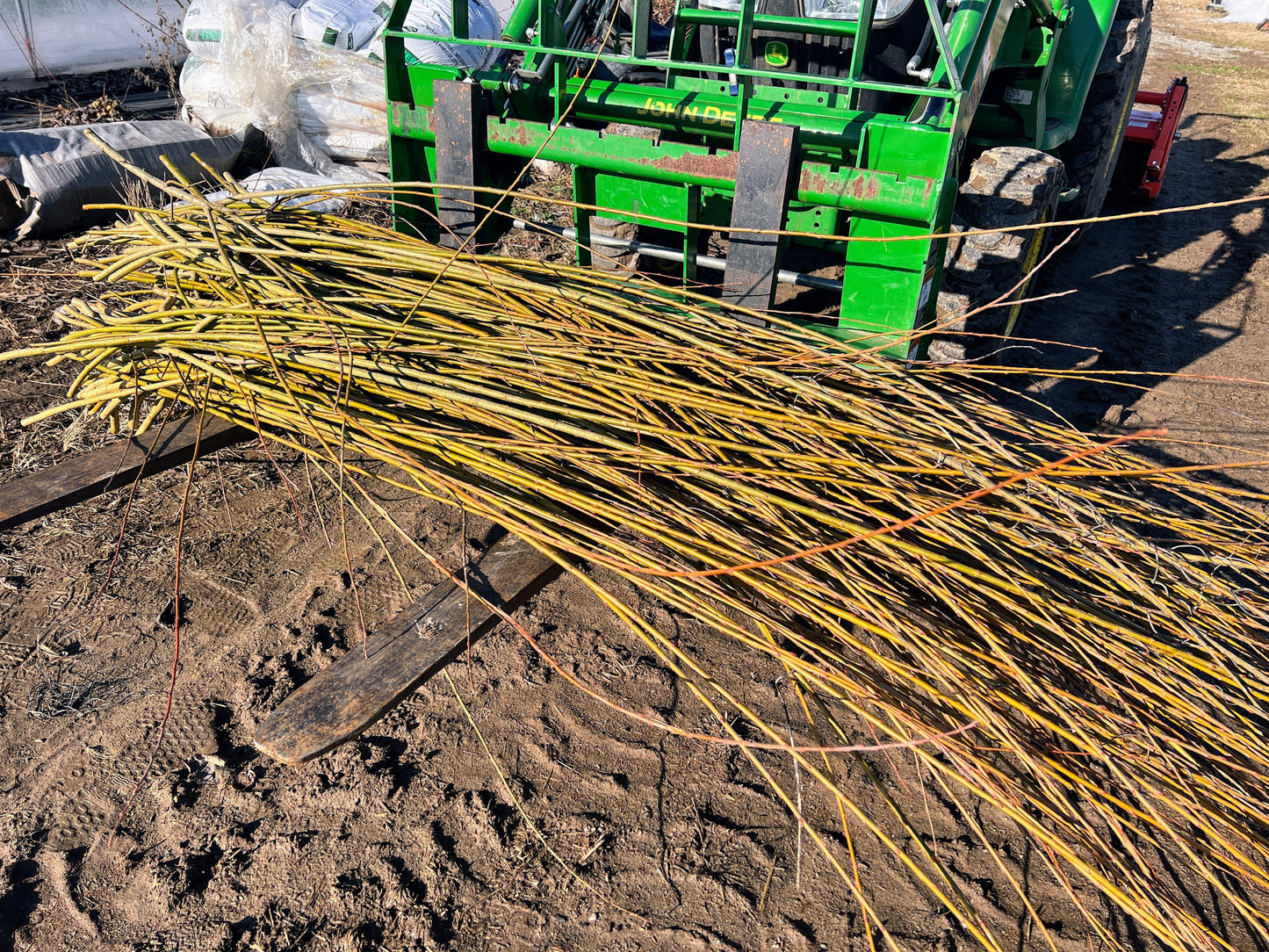 Willow plant material for streambanks and biomass from The Farm On Central, showing large willow boughs and branches.
