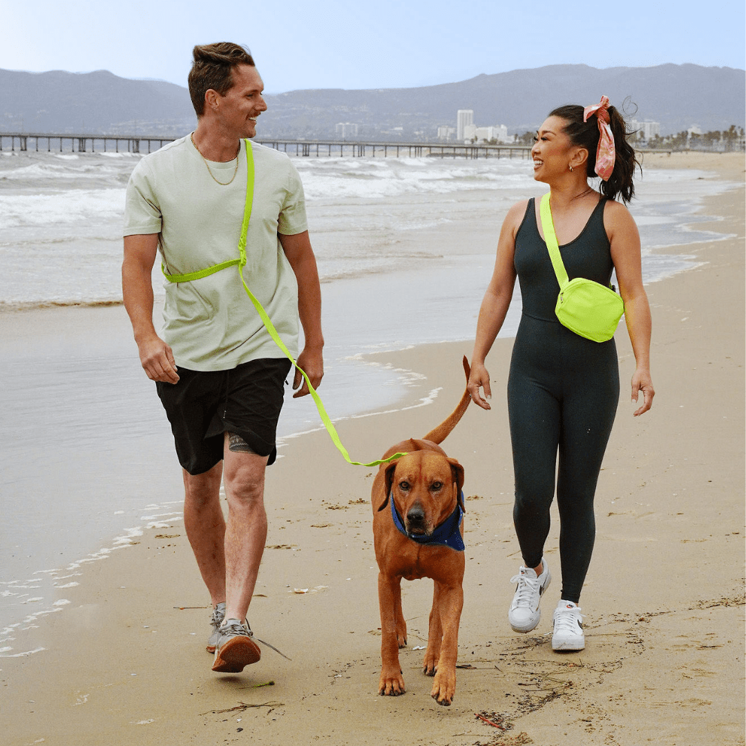Tilley + Me waterproof PVC handsfree dog leash with durable, odor-resistant biothane collar and leash for all weather use
