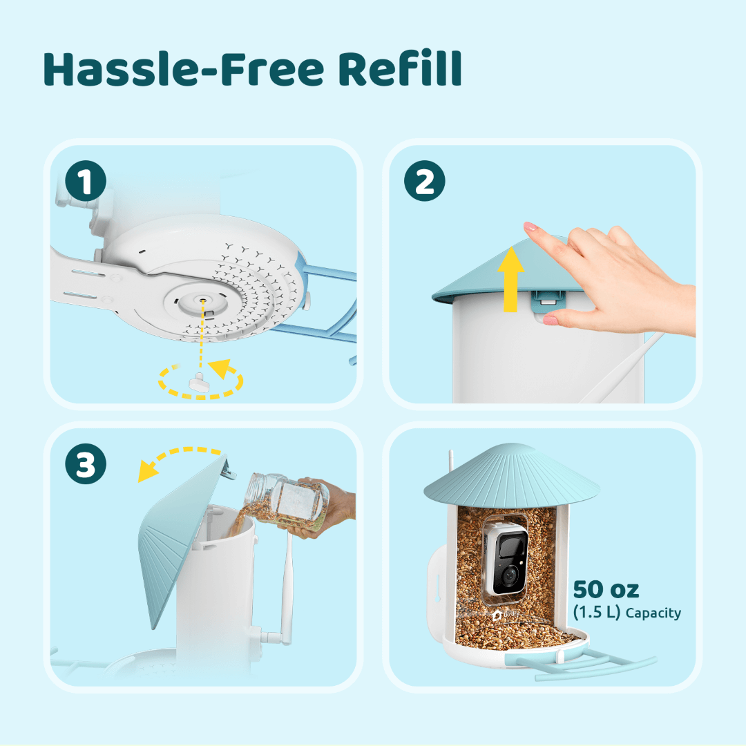 Birdfy Feeder - AI-Powered Smart Bird Feeder with Camera - Blessings Grow Meadows -