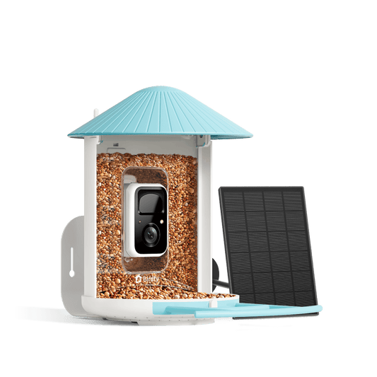 Birdfy Feeder with Solar Panel - Solar-Powered Smart Bird Feeder with Camera - Blessings Grow Meadows -