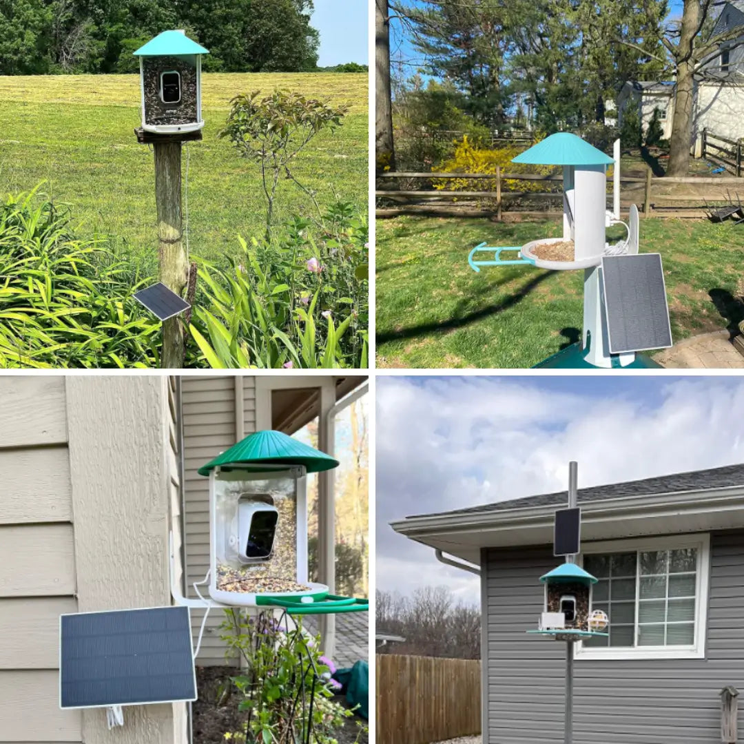 Birdfy Feeder with Solar Panel - Solar-Powered Smart Bird Feeder with Camera - Blessings Grow Meadows -
