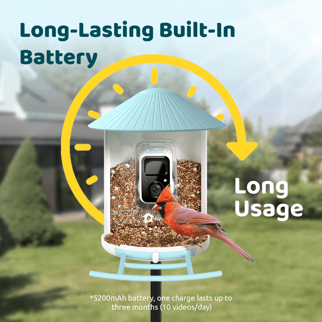 Birdfy Feeder with Solar Panel - Solar-Powered Smart Bird Feeder with Camera - Blessings Grow Meadows -