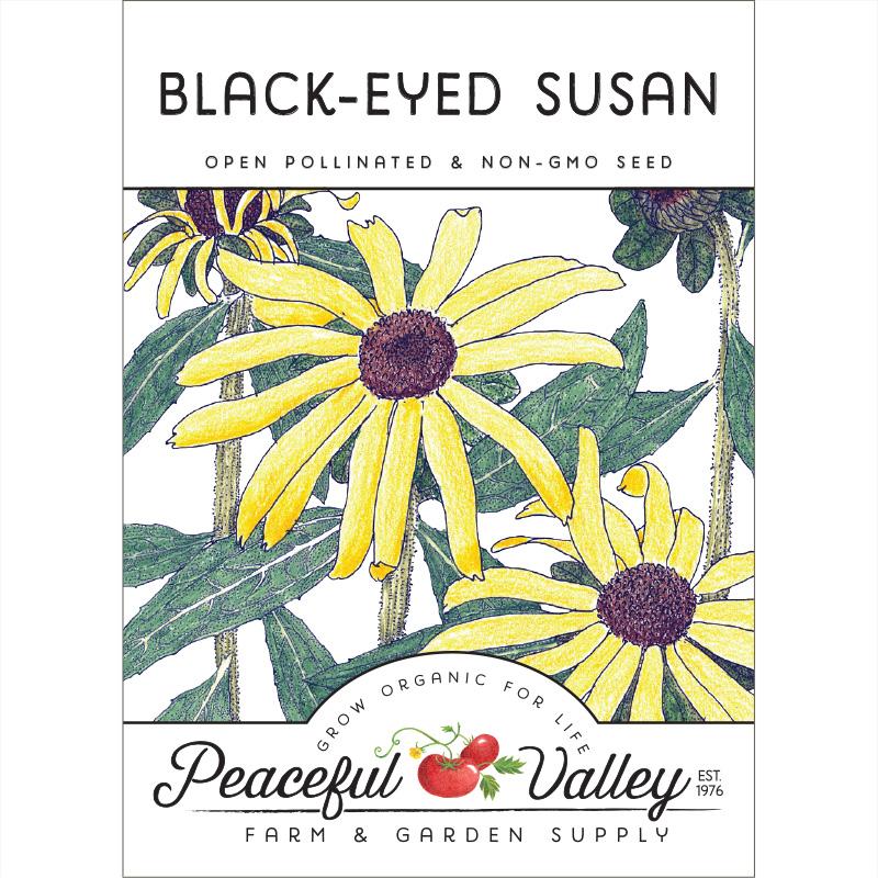 Black-Eyed Susan (pack) - Blessings Grow Meadows