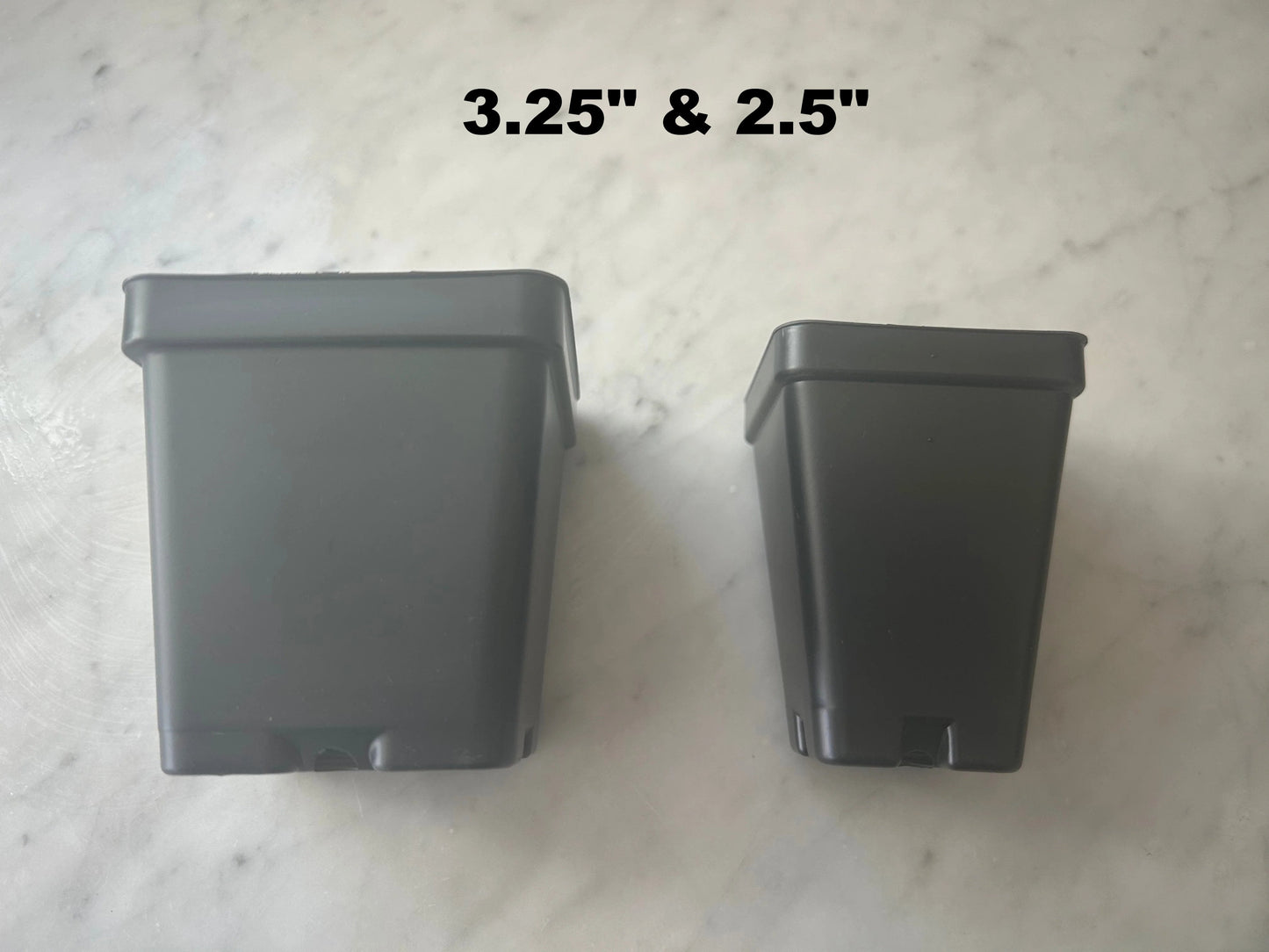 Black Square Plastic Pots - 25 Count, 2.5"-3.25", Plant Propagation & Nursery