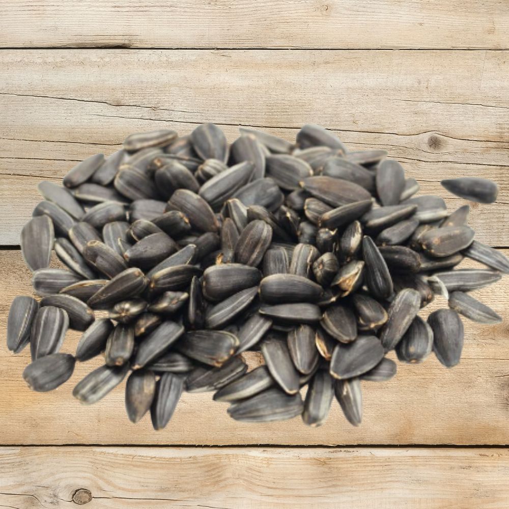 Black oil sunflower wild bird seed in a clear bag, premium quality from Flawn Seed Kits, showing black oil sunflower seeds.