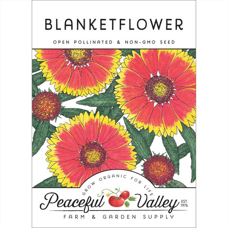 Blanketflower (pack) - Blessings Grow Meadows