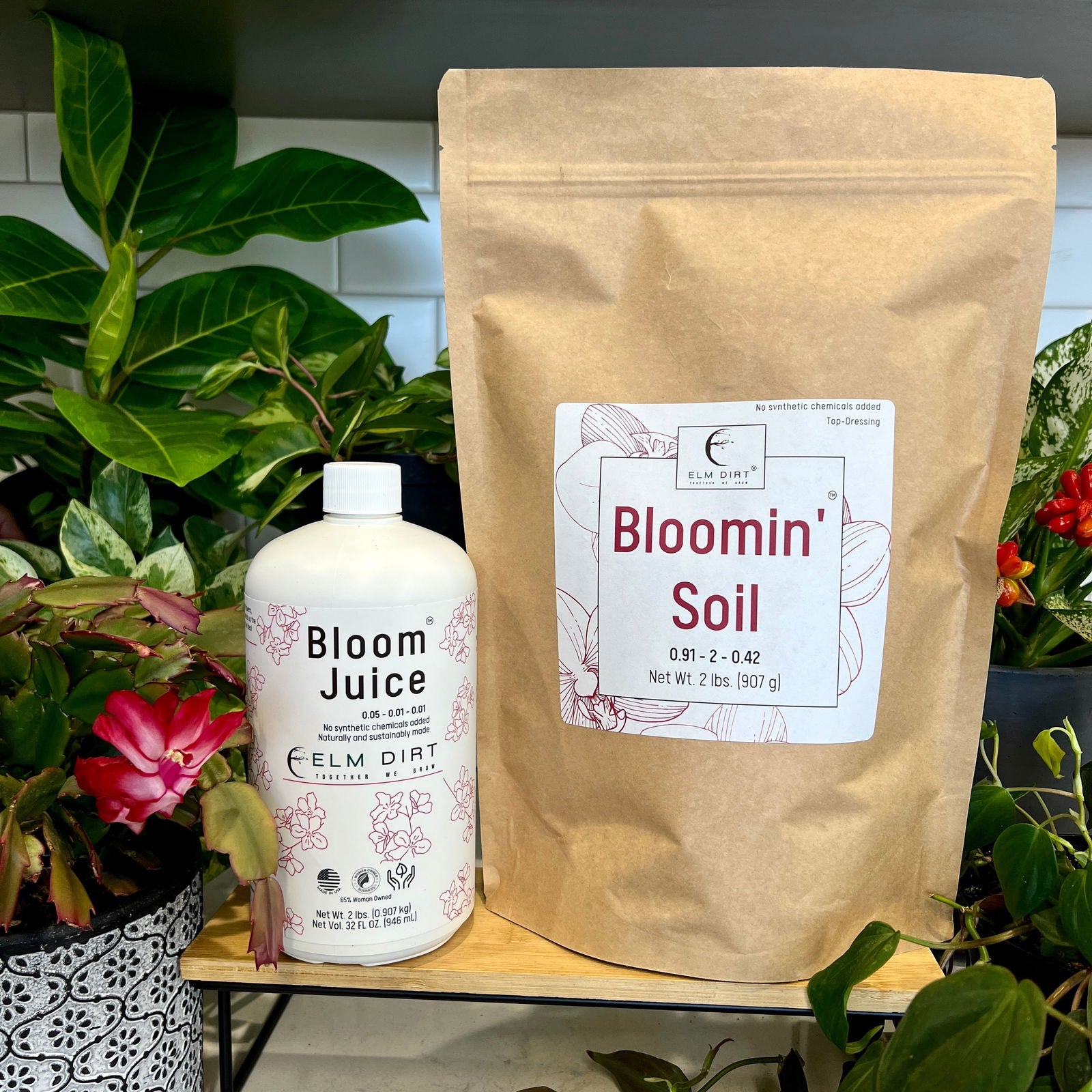 Bloom Power Bundle by Elm Dirt - Blessings Grow Meadows -