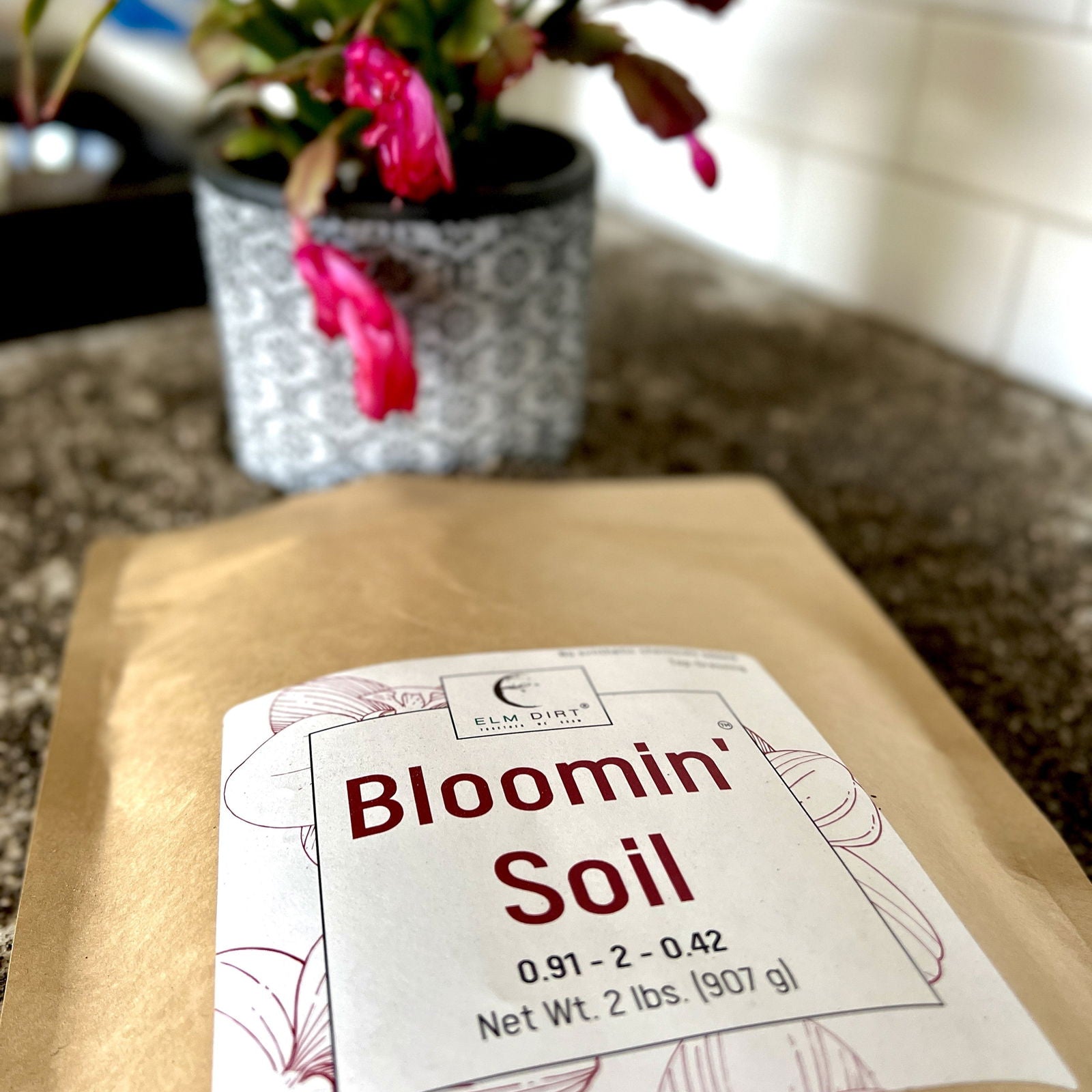 Bloom Power Bundle by Elm Dirt - Blessings Grow Meadows -