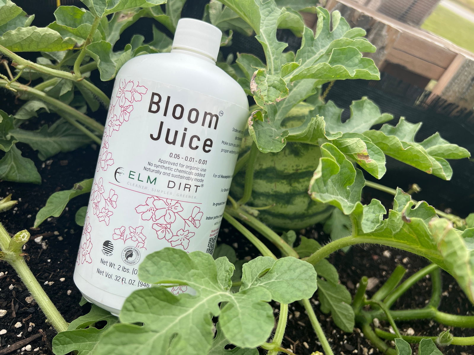 Bloom Power Bundle by Elm Dirt - Blessings Grow Meadows -