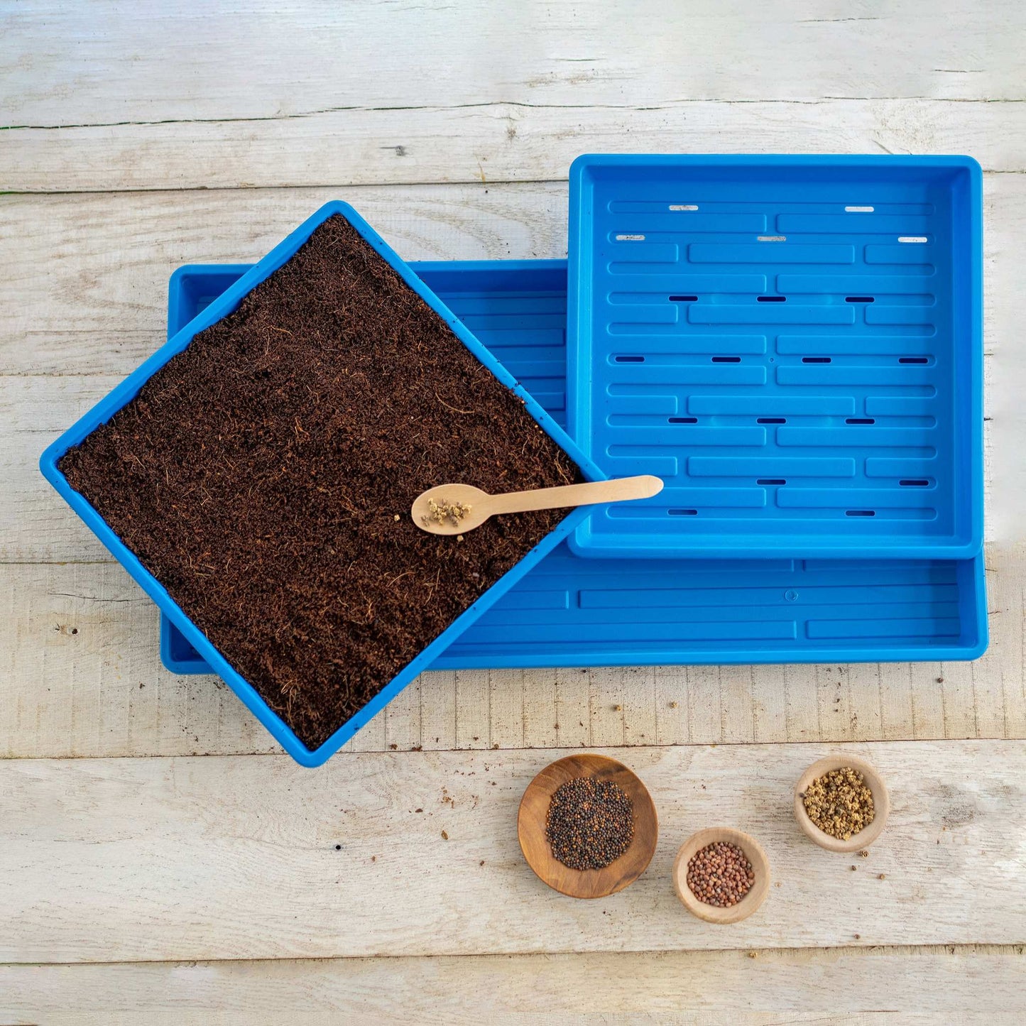 1010 Microgreens Kit - Blessings Grow Meadows