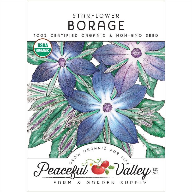 Borage Seeds (Organic) - Blessings Grow Meadows