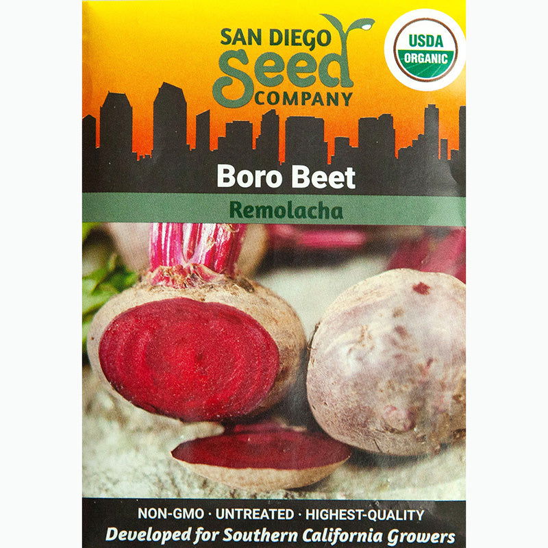 Boro Beet Seeds - Blessings Grow Meadows -