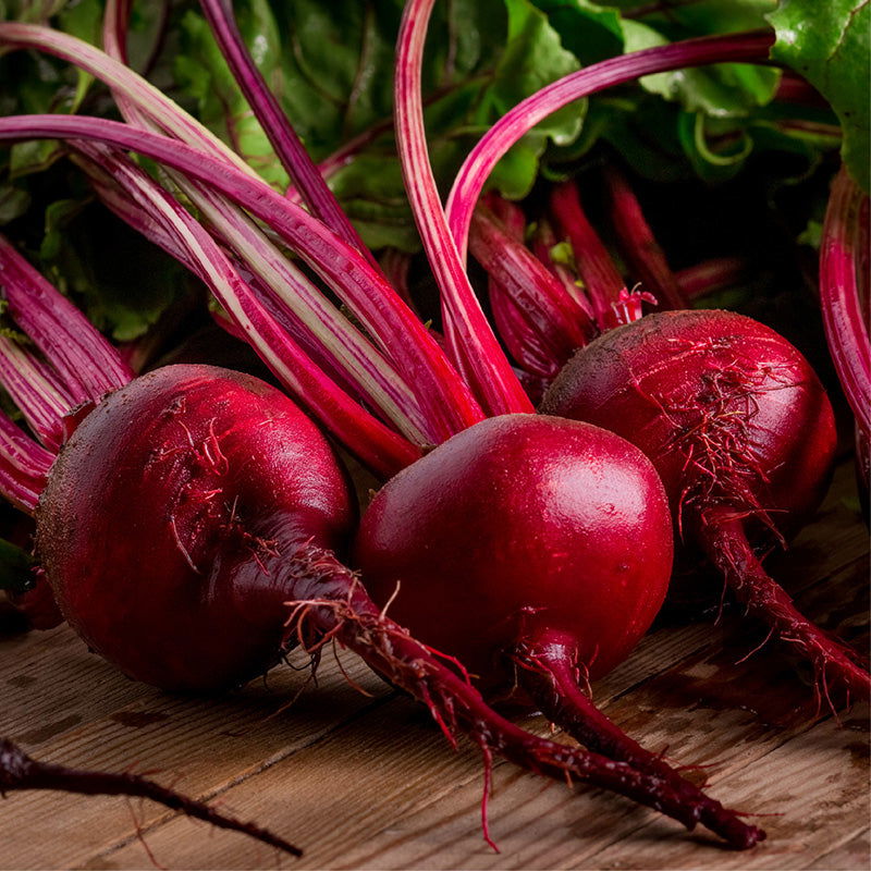 Boro Beet Seeds - Blessings Grow Meadows -