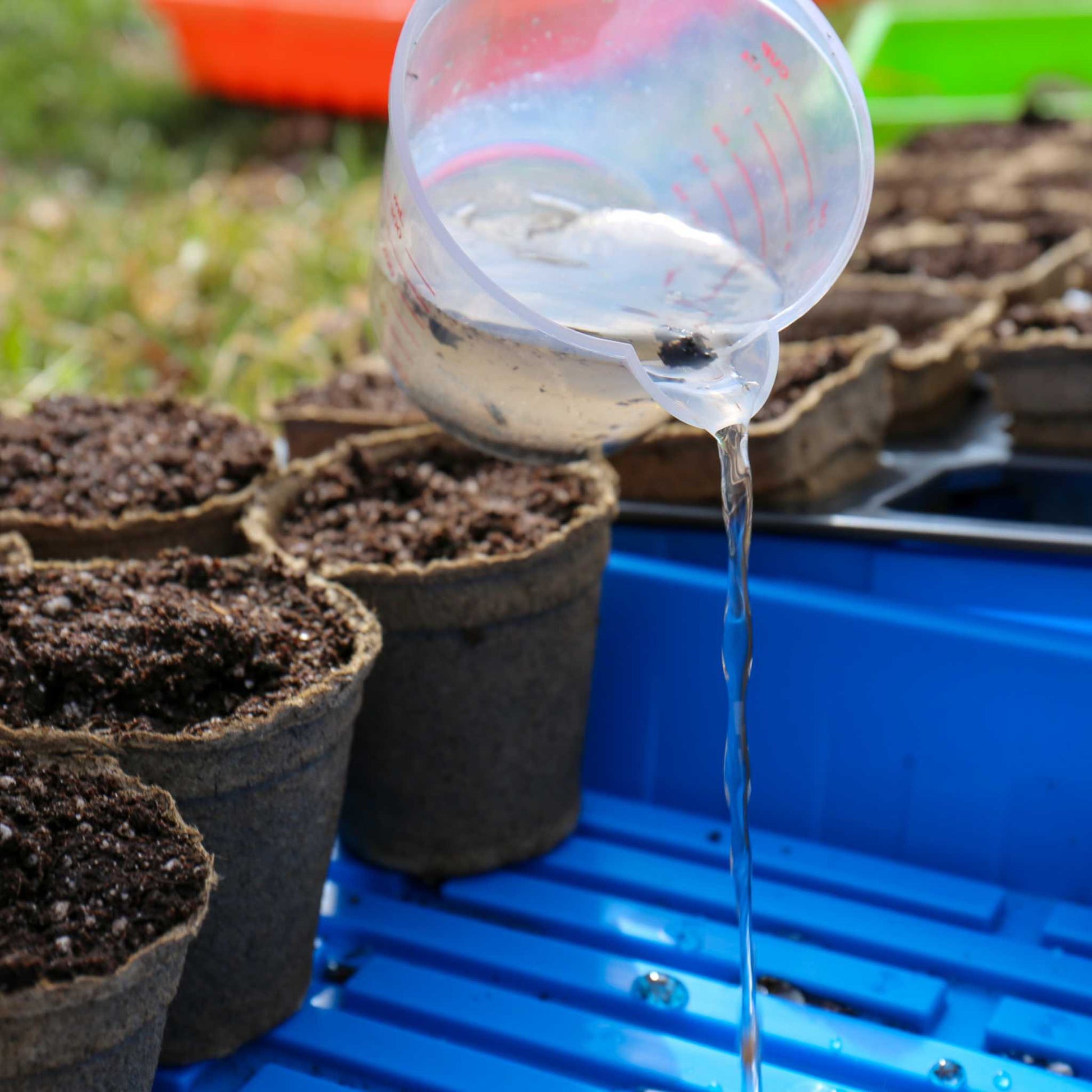 CowPots® #3 Round - Blessings Grow Meadows