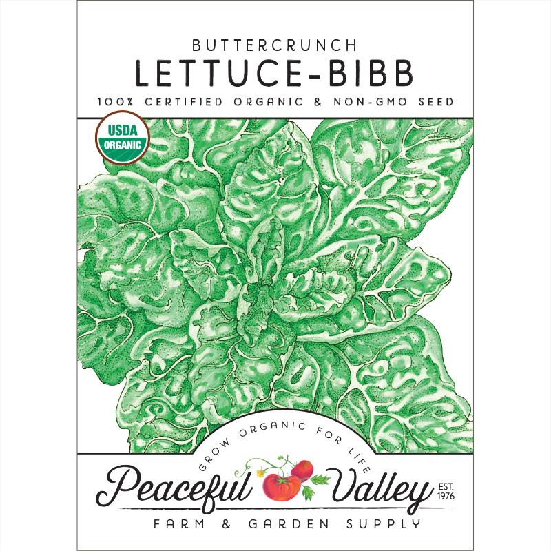 Buttercrunch Lettuce Seeds (Organic) - Blessings Grow Meadows