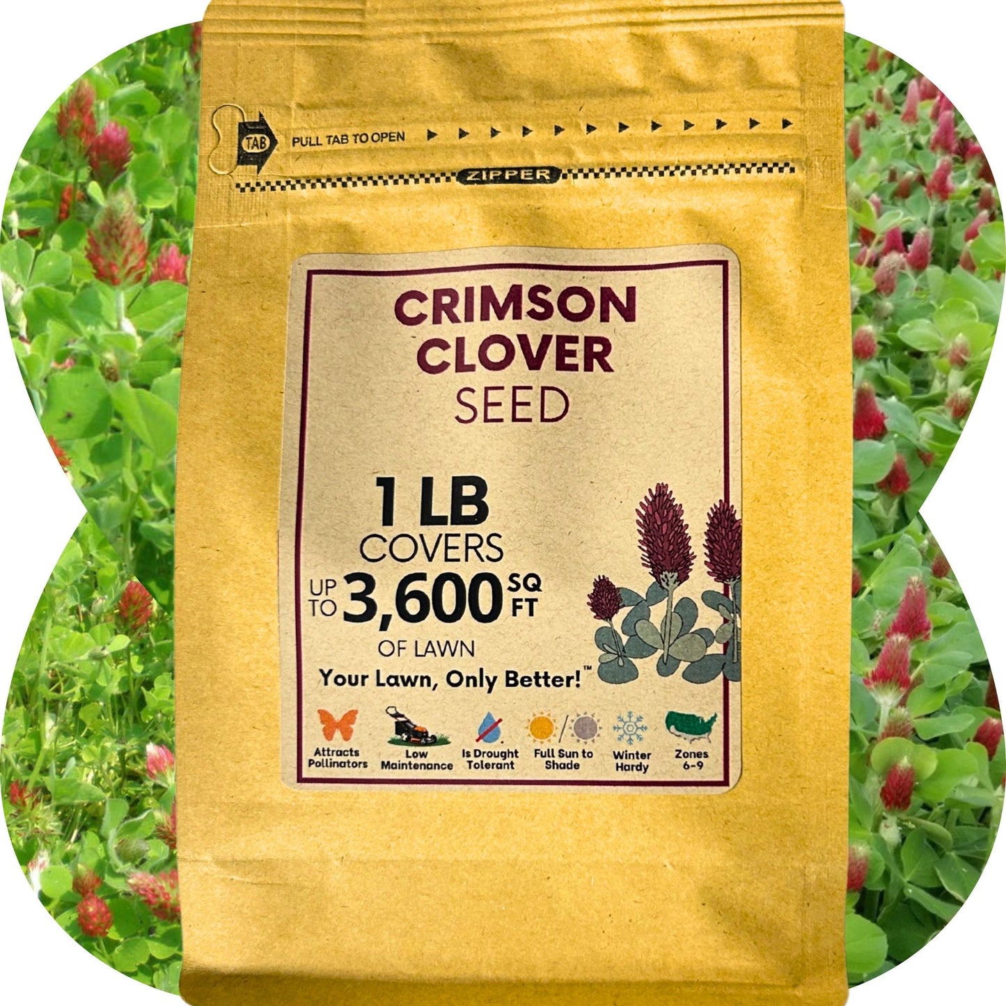 Crimson Clover Seed - Blessings Grow Meadows