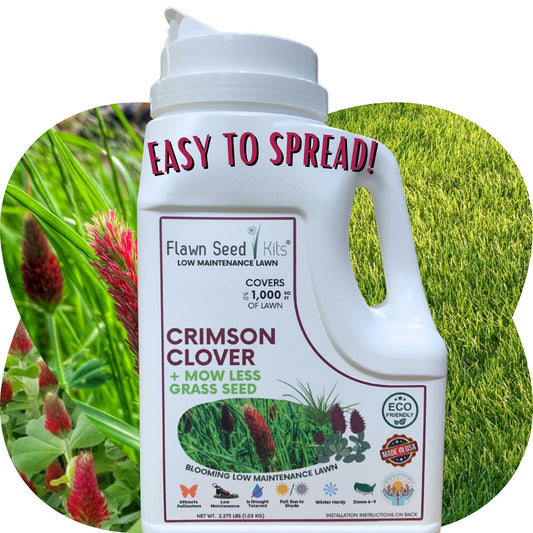 Crimson Clover + Mow Less Grass Seed - Blessings Grow Meadows