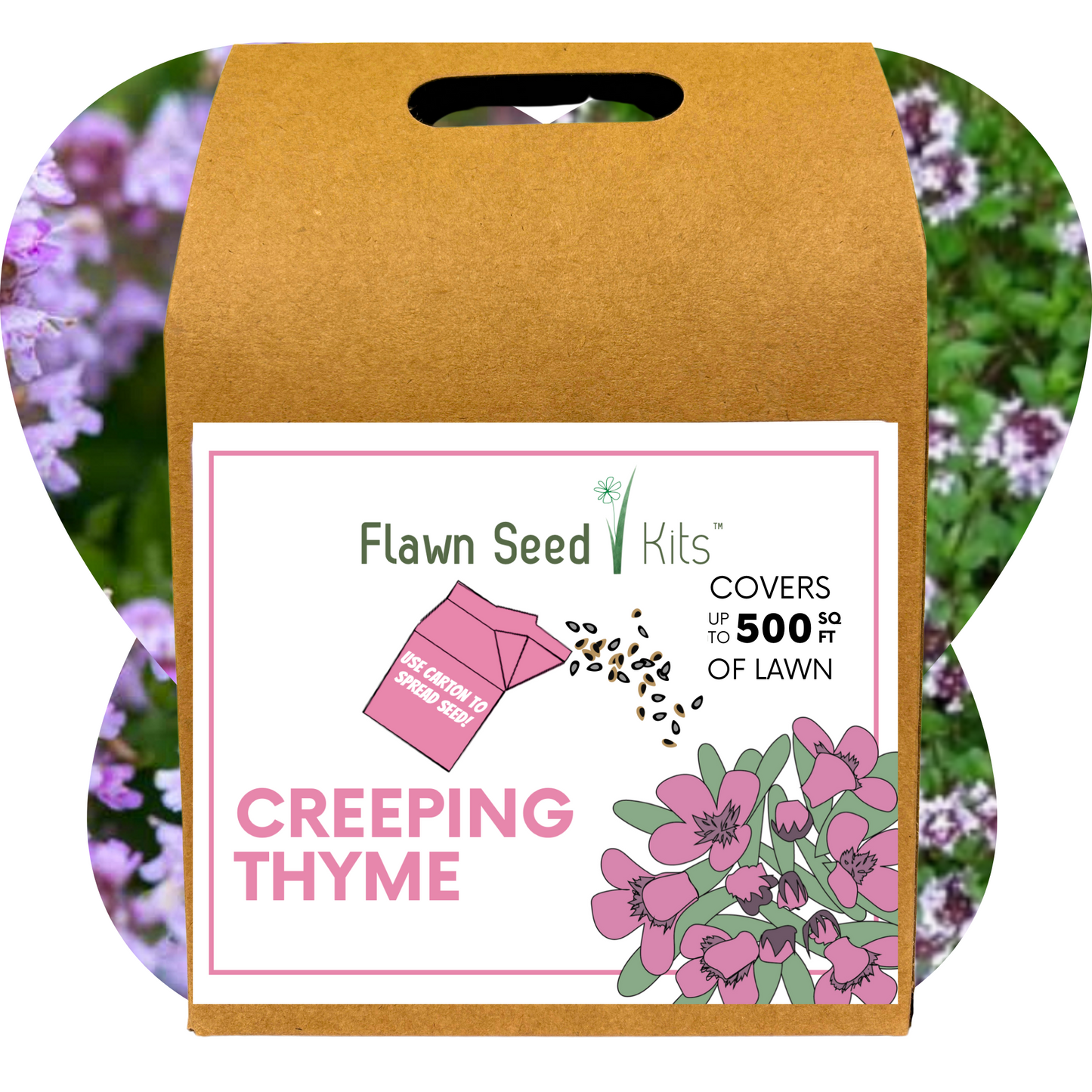Creeping Thyme Eco-Friendly Seeding Kit - Blessings Grow Meadows