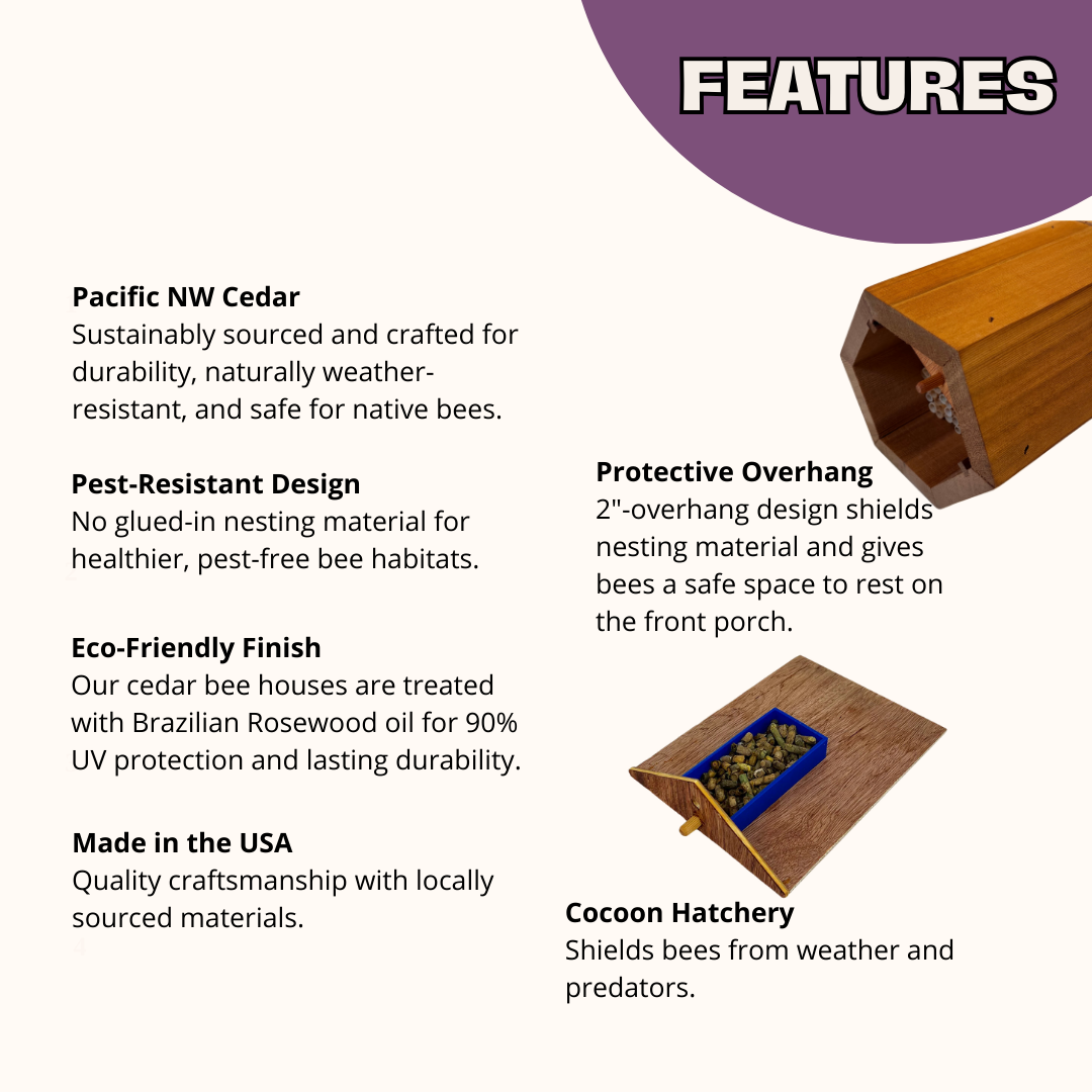 Cabana Bee House & Complete Kit with Bee Certificate - Blessings Grow Meadows