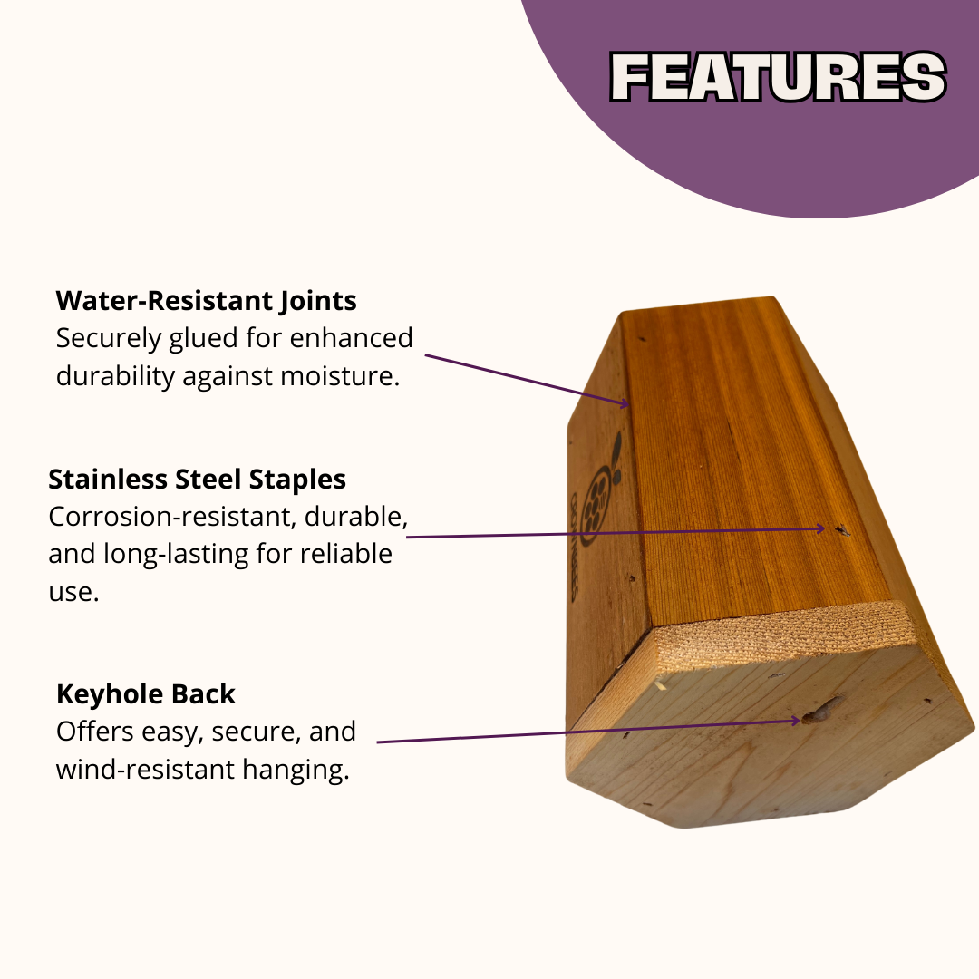 Cabana Bee House & Complete Kit with Bee Certificate - Blessings Grow Meadows