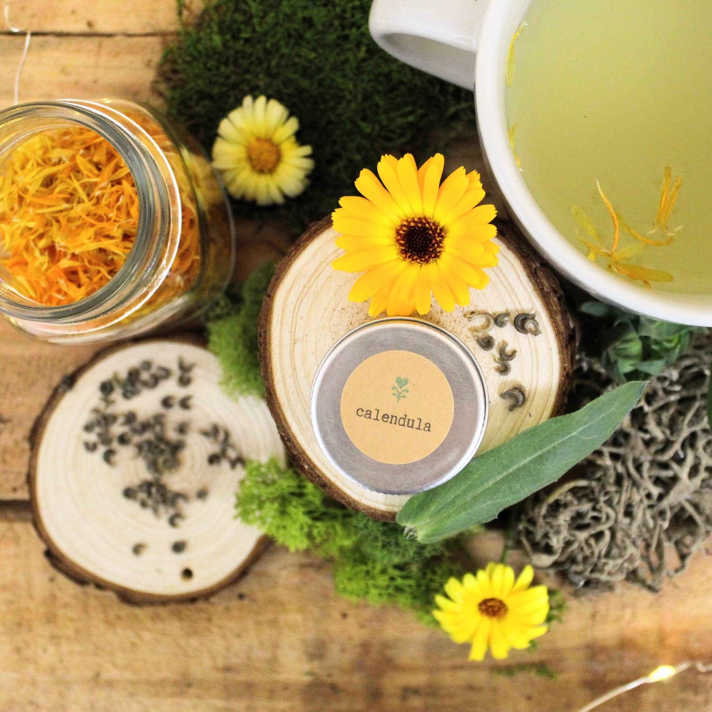 Calendula Beginner Grow Kit - Blessings Grow Meadows -