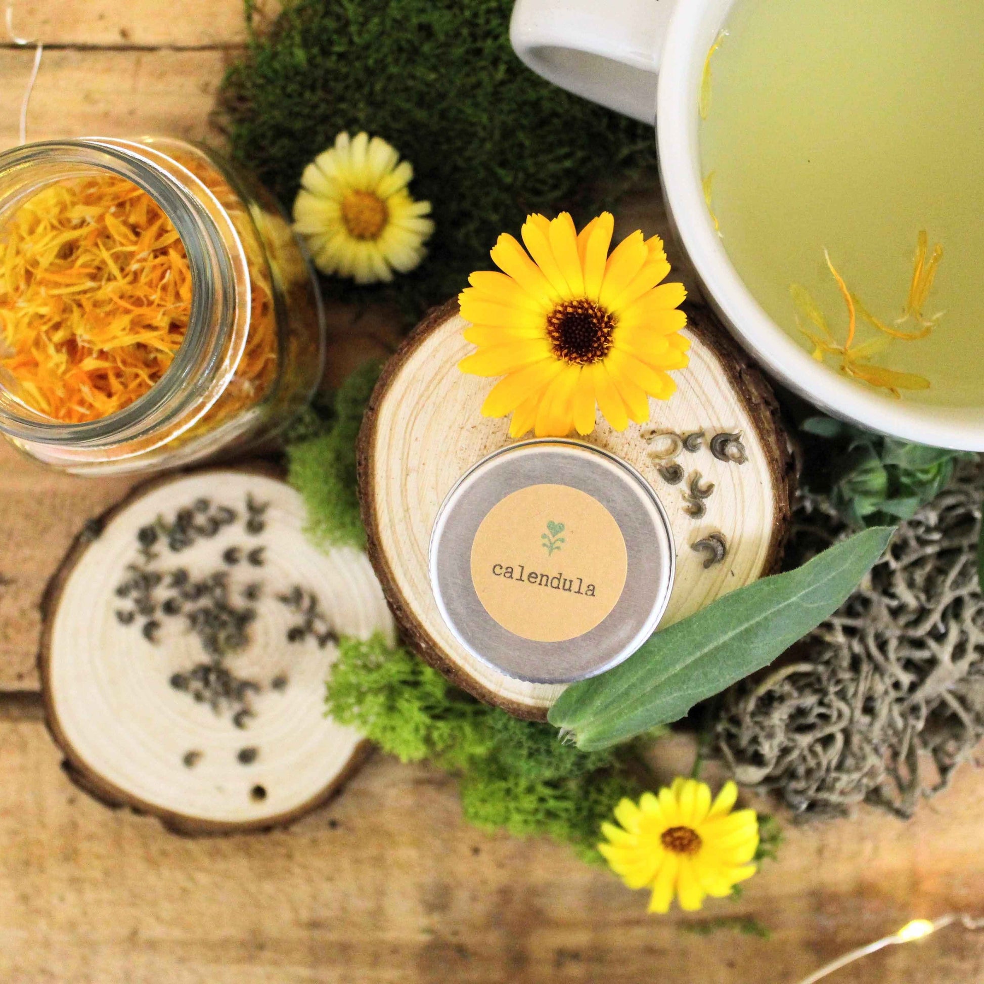 Calendula Beginner Grow Kit - Blessings Grow Meadows -