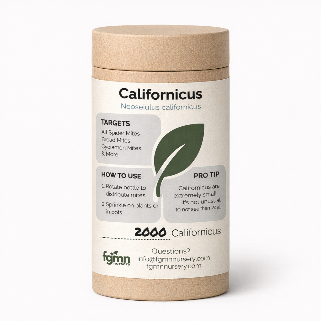Fungus gnat and mite treatment bottles containing Neoseiulus californicus predatory mites from FGMN Nursery.