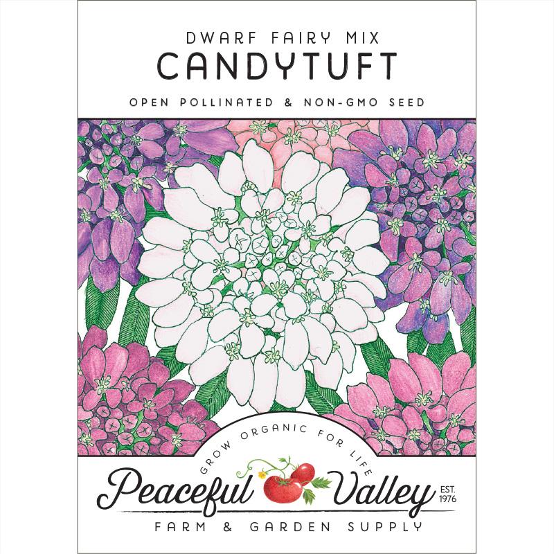 Candytuft, Dwarf (pack) - Blessings Grow Meadows