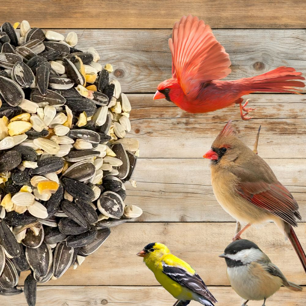 Bird feeder with Cardinal and Finch feeding on Flawn Seed Kits Feast Wild Bird Seed Blend in a garden setting.