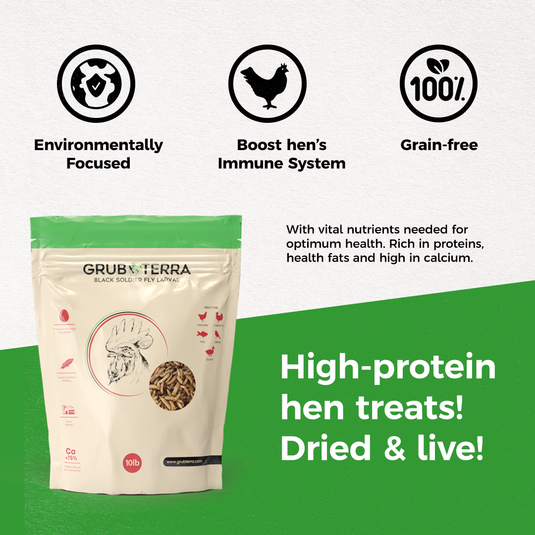 A bag of GrubTerra Dried Black Soldier Fly Larvae 10lb by GrubTerra is shown, featuring icons for eco-friendliness, immune support, and grain-free. Text highlights its high protein, calcium content, and natural health benefits for hens.