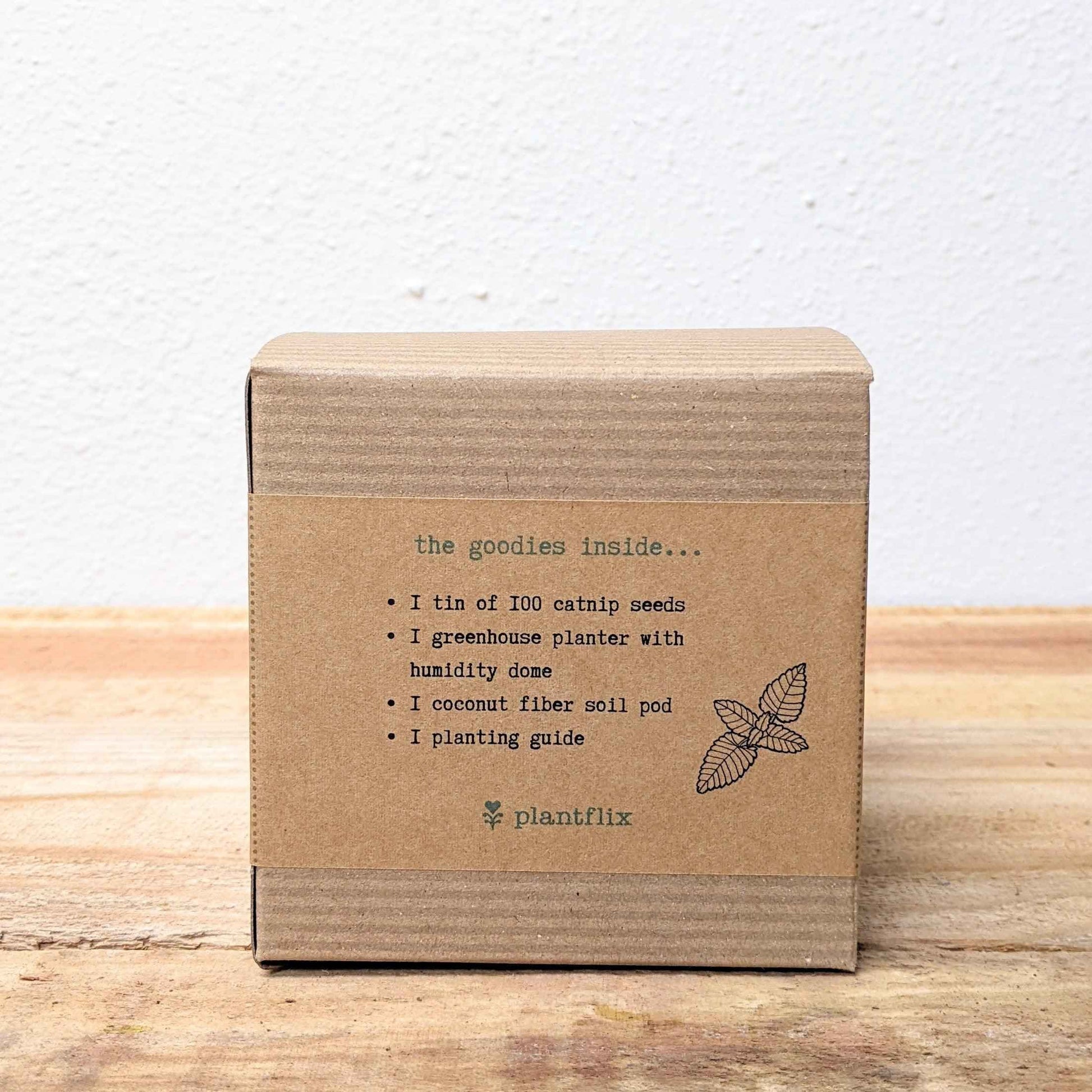 Catnip Beginner Grow Kit - Blessings Grow Meadows -