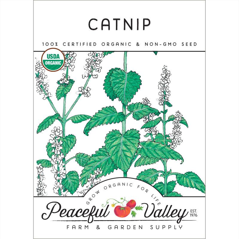 Catnip Seeds (Organic) - Blessings Grow Meadows